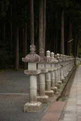 伊勢・熊野・高野山　旅行シリーズ