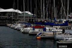 江の島ヨットハーバー③