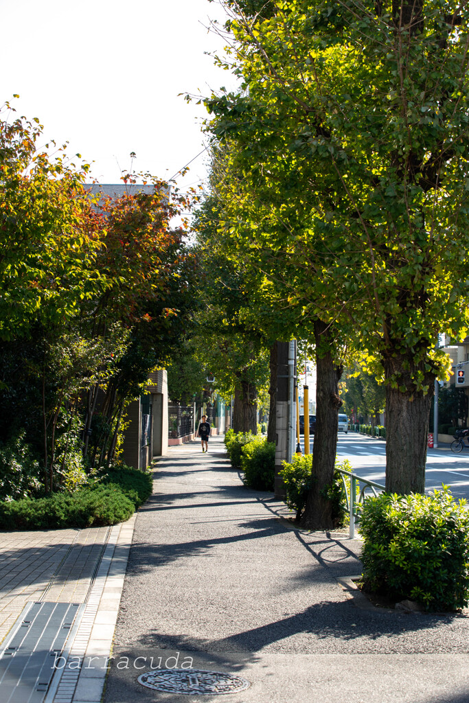 深沢・等々力界隈②