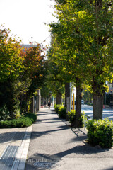 深沢・等々力界隈②