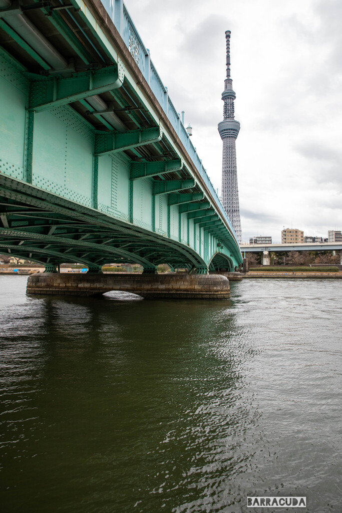 言問橋と牛島神社⑩