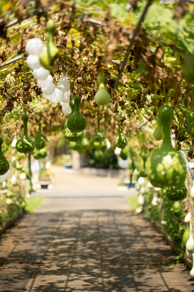 ひょうたんトンネル
