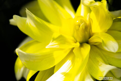 木場公園にて②