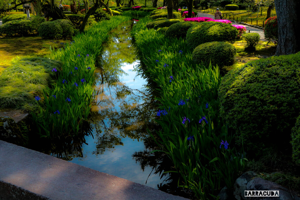 2017年5月金沢旅行　兼六園②