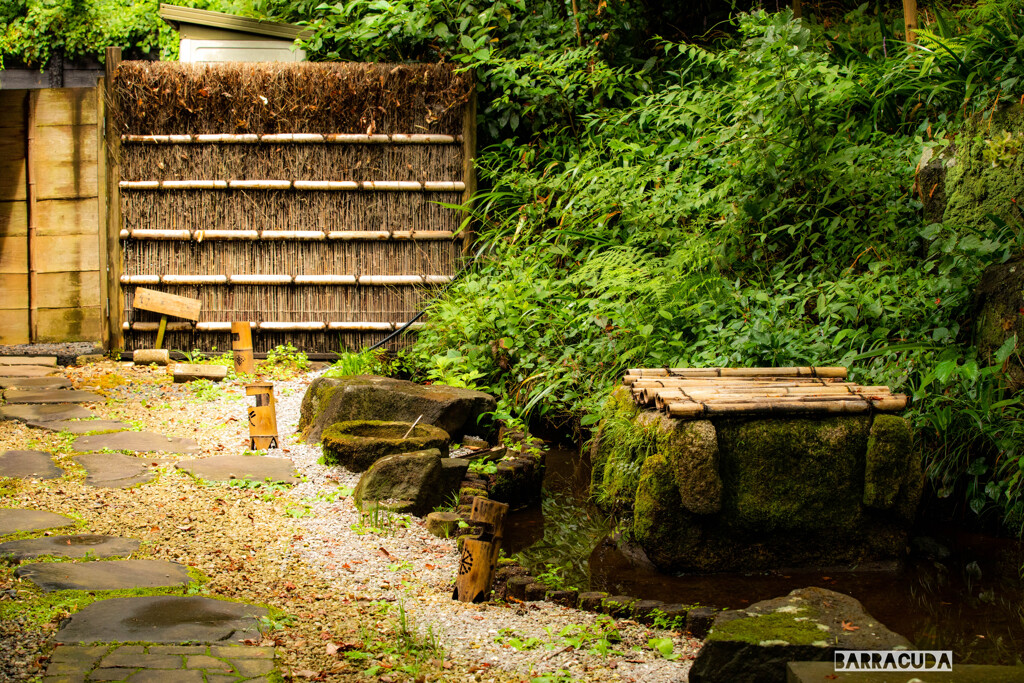 久良岐公園にて③