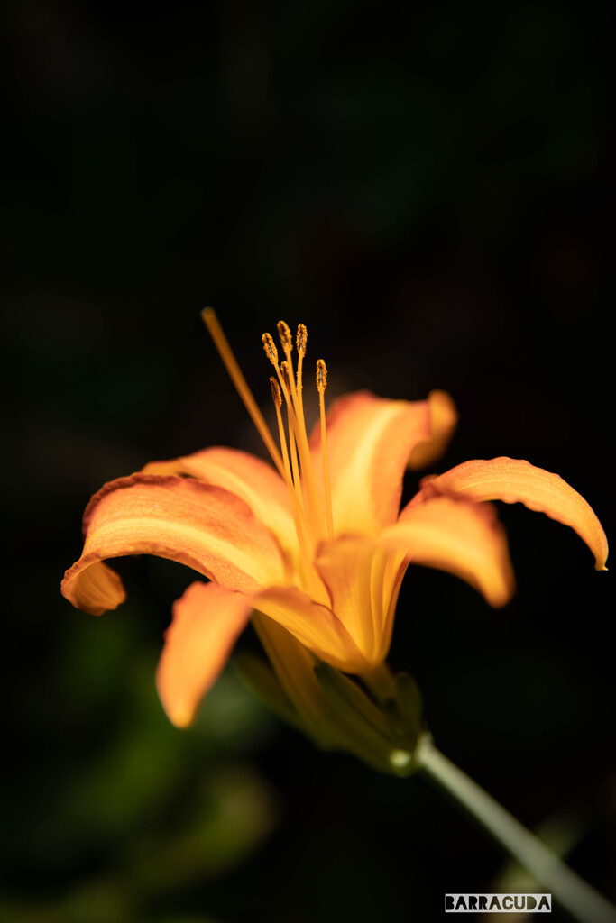 荒崎公園⑧