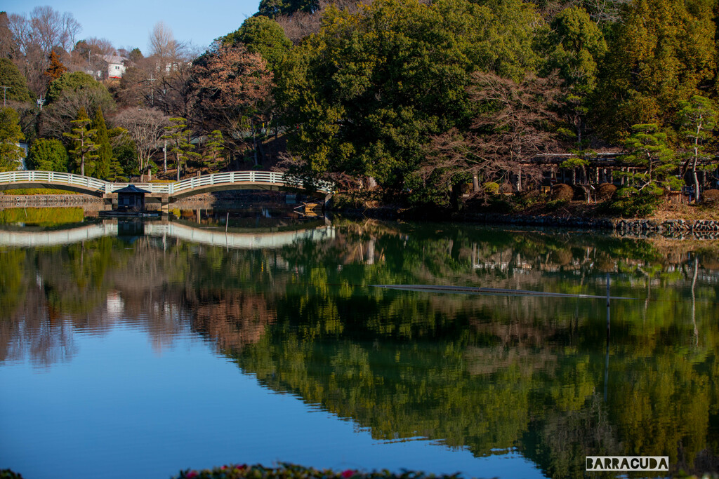 薬師池公園とリス園③　薬師池