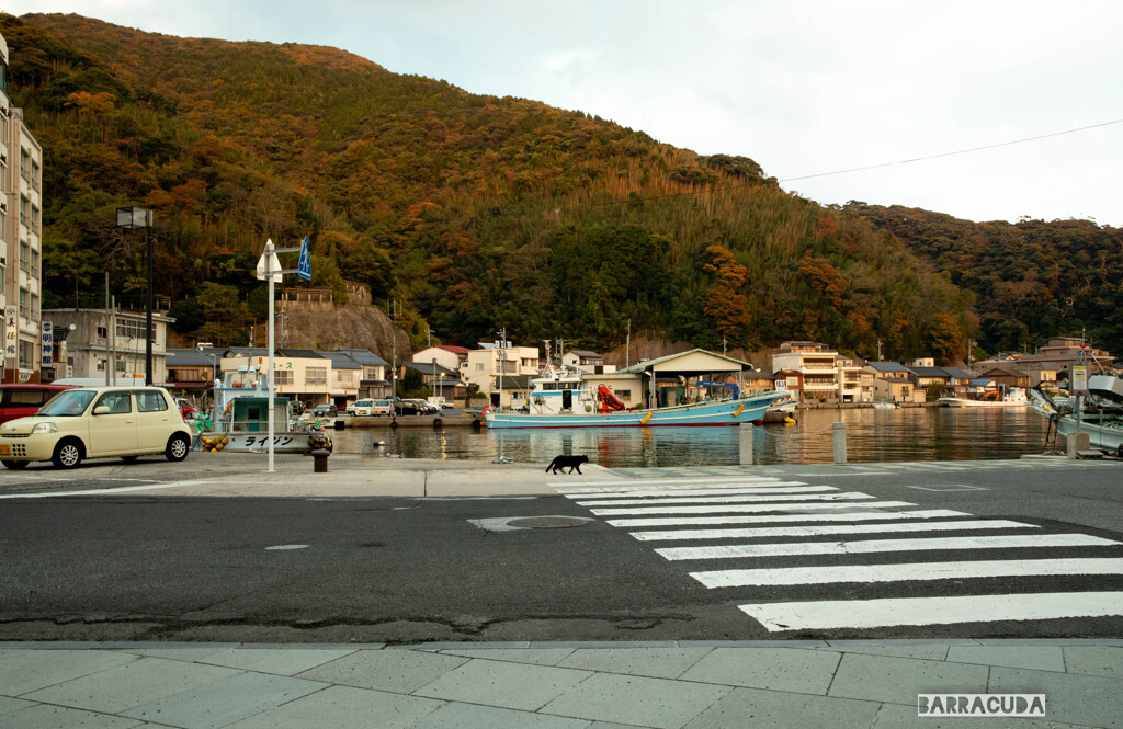 出雲旅行（紅葉編）⑥