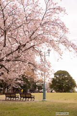 三渓園と根岸森林公園⑤