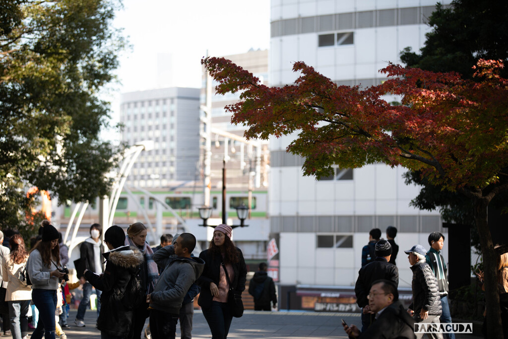 上野公園の外国人
