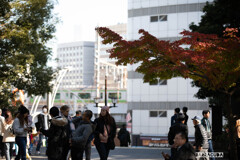 上野公園の外国人