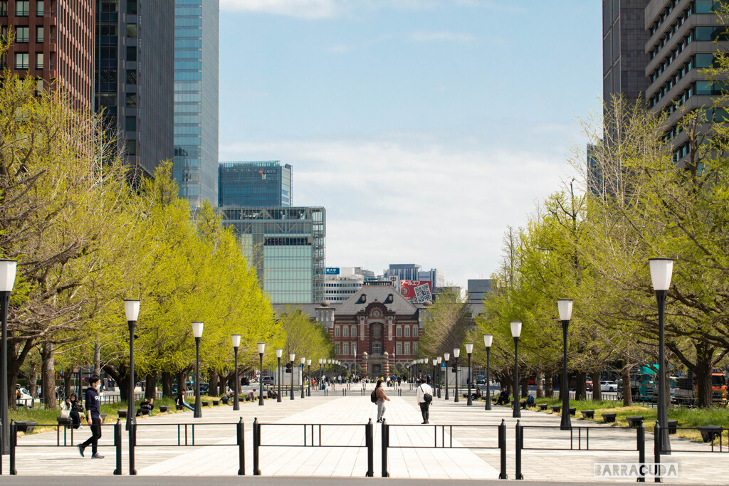 日比谷公園へ①