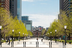 日比谷公園へ①