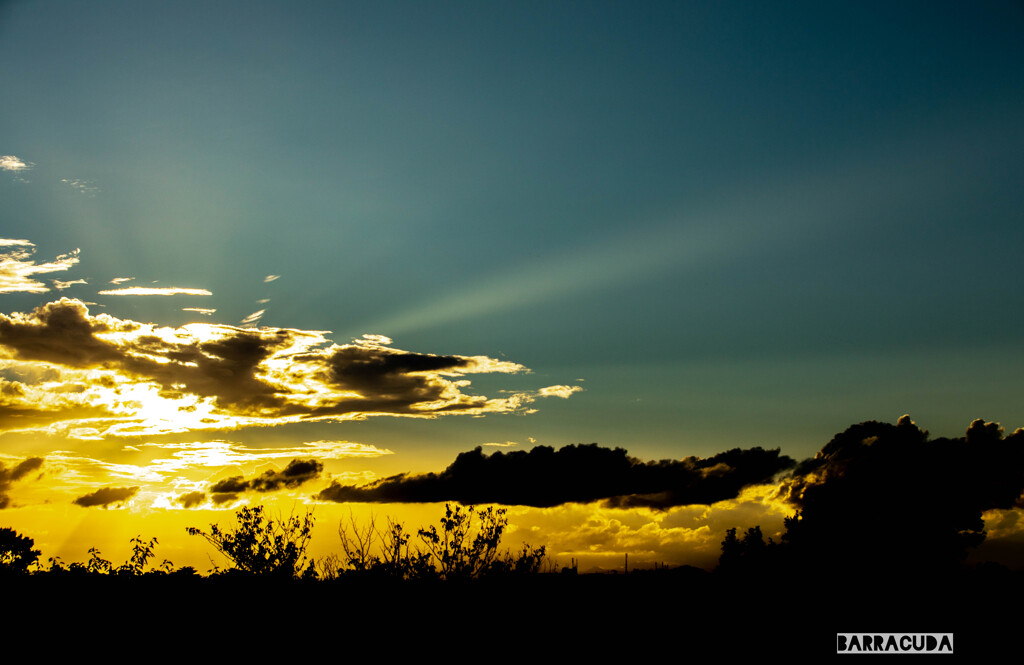 本牧山頂公園④