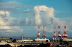 本牧山頂公園⑥