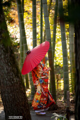 最後の紅葉・三渓園⑧