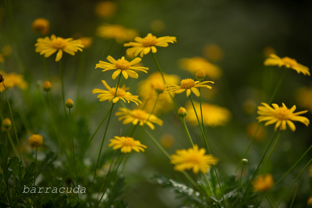 横浜こども植物園にて５