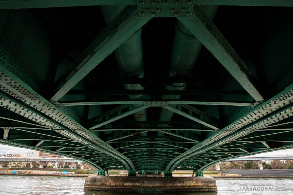 言問橋と牛島神社⑨