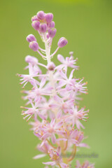 舞岡公園シリーズ