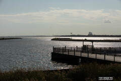 葛西臨海公園①