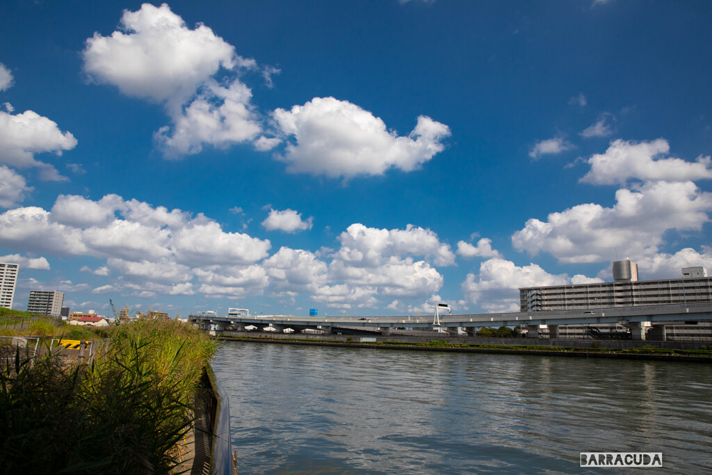 隅田川①