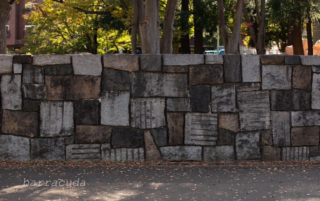 駒沢公園散策【前半】⑧