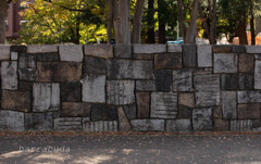 駒沢公園散策【前半】⑧