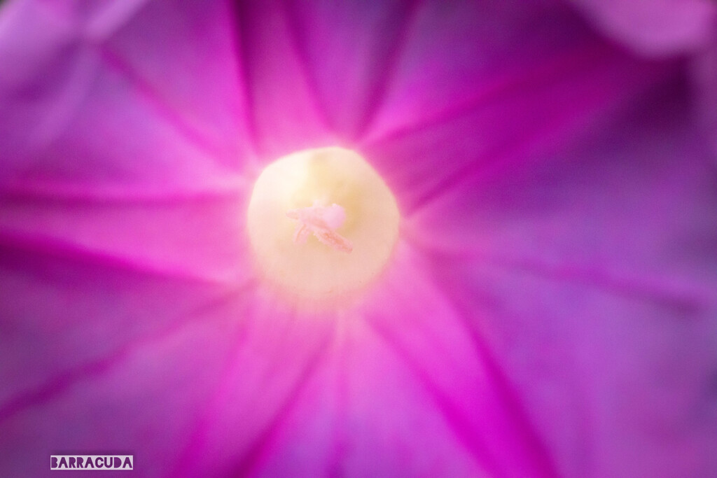 長久保公園にて⑨