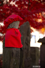 九品仏再び　万の人へ