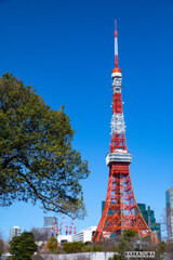 東京タワーシリーズ⑤