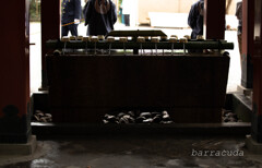 鎌倉・鶴岡八幡宮