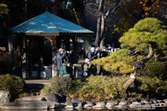 カワセミハンター！！