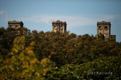 根岸森林公園シリーズ