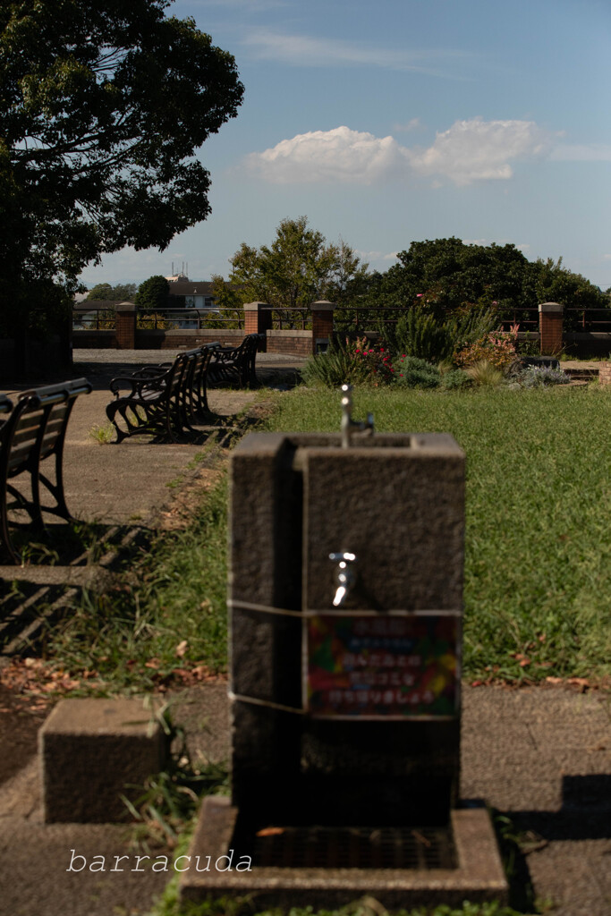 根岸森林公園シリーズ