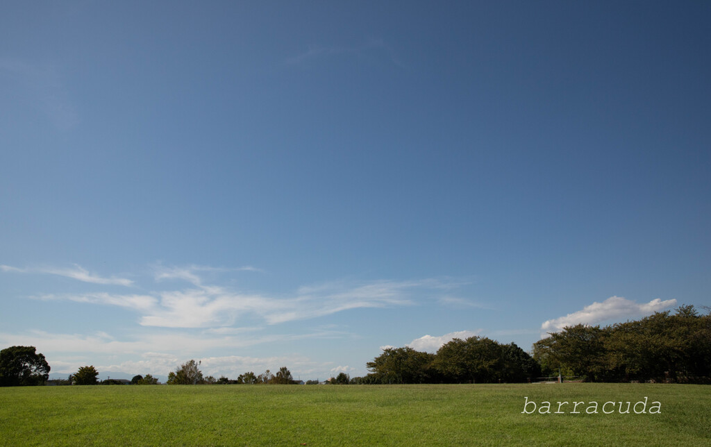 根岸森林公園シリーズ
