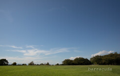 根岸森林公園シリーズ