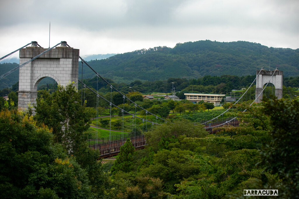 秦野市戸川公園にて①