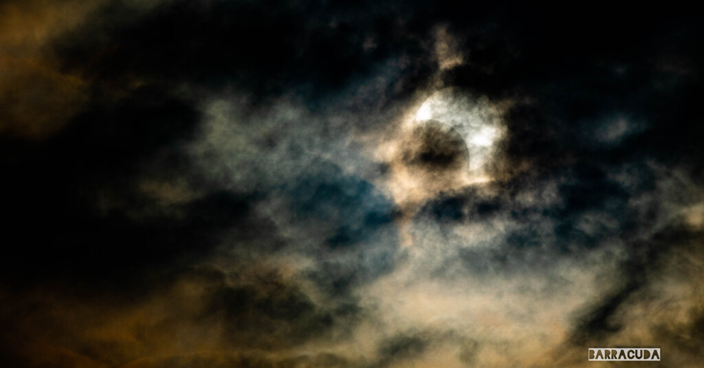 金沢動物園20200621⑩