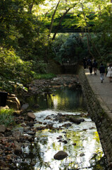 等々力渓谷へ⑧