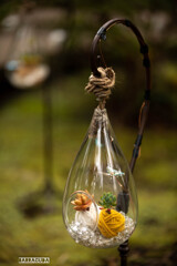 江の島スモールワールド！③