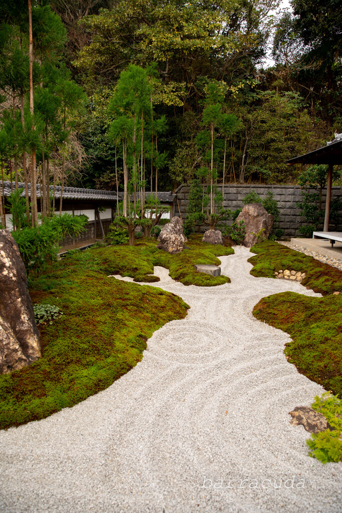 長谷寺のわすれもの⑥