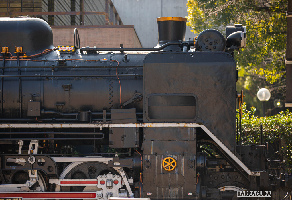 横顔シリーズ③