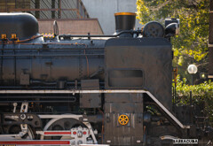 横顔シリーズ③