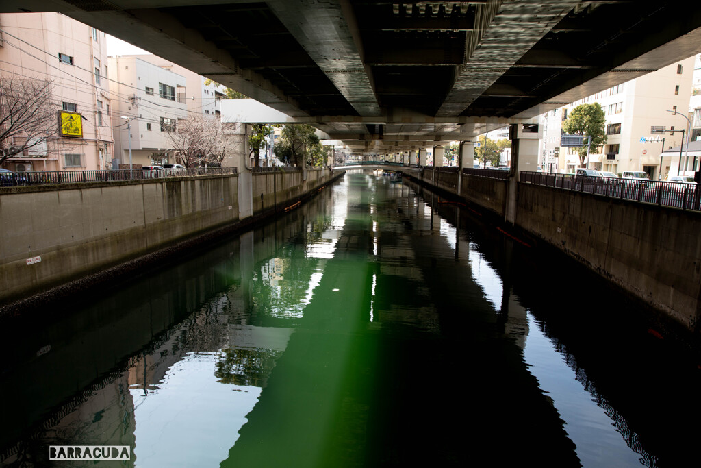 大岡川下流