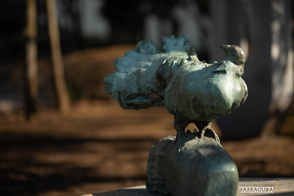 びっくりしたハト