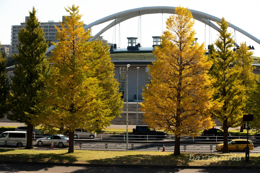 駒沢公園散策【前半】⑨