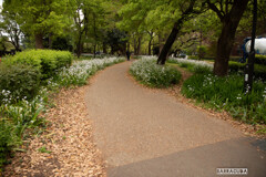 上野公園にて⑦