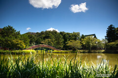 金沢区称名寺⑦