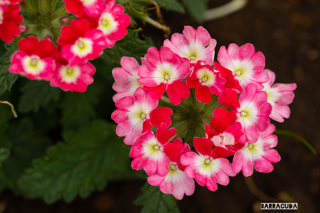 木場公園にて⑦