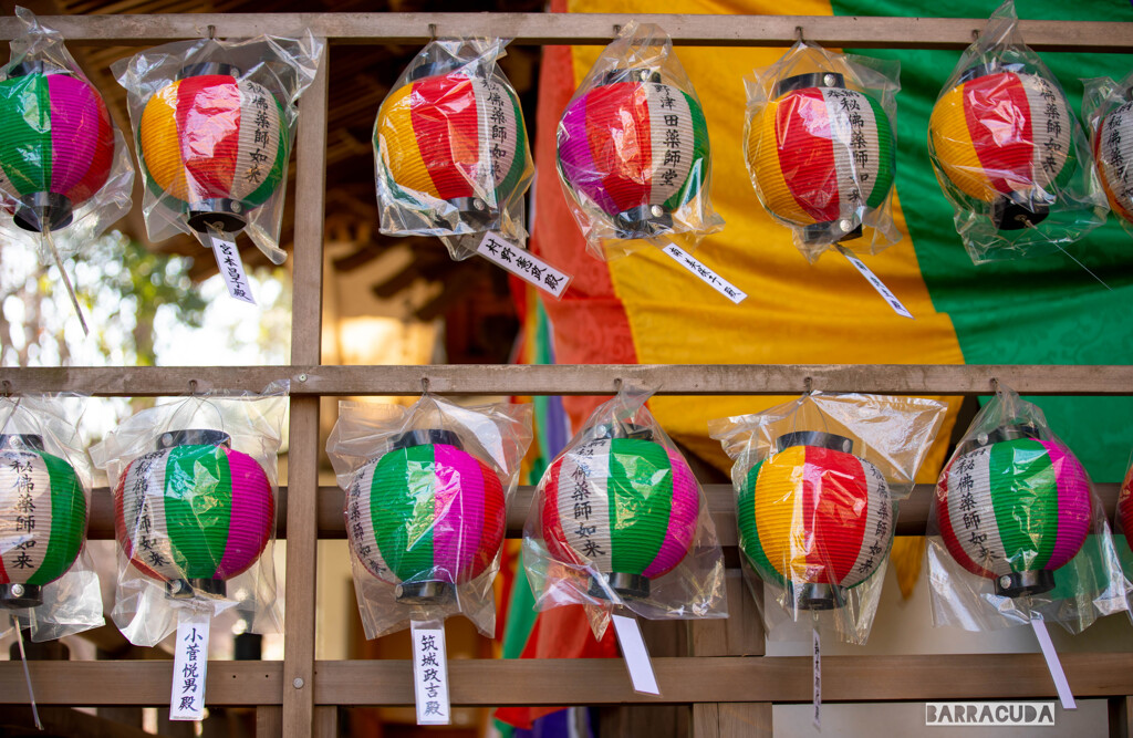 薬師池公園とリス園⑥　提灯